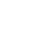 bvso logo white
